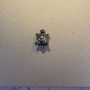 Pandora Charm